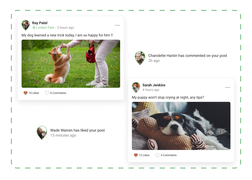 A screenshot showing the MorePaws newsfeed with example posts showing images of dogs.